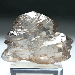 �O�C���f���N�H�[�c<br> �X�C�X�E�A���v�X����<br> 47g (28-1)