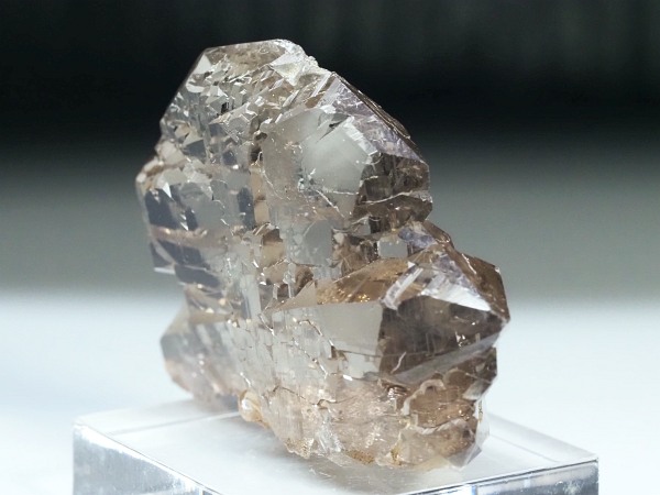 �O�C���f���N�H�[�c �X�C�X�E�A���v�X���� 47g (28-1)