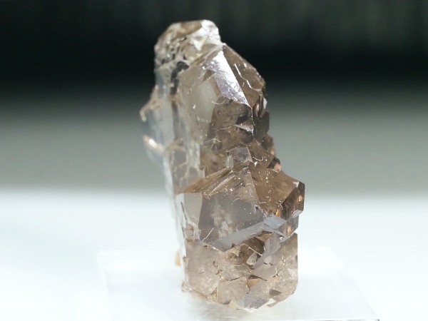 �O�C���f���N�H�[�c �X�C�X�E�A���v�X���� 47g (28-1)