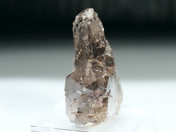 �O�C���f���N�H�[�c �X�C�X�E�A���v�X���� 47g (28-1)