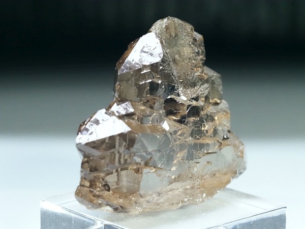 �O�C���f���N�H�[�c �X�C�X�E�A���v�X���� 47g (28-1)