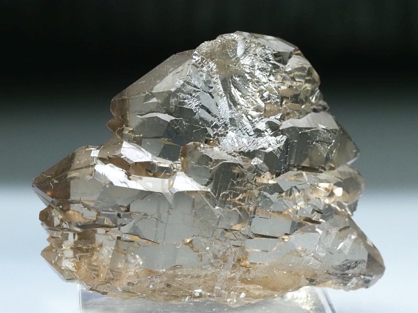 �O�C���f���N�H�[�c �X�C�X�E�A���v�X���� 47g (28-1)