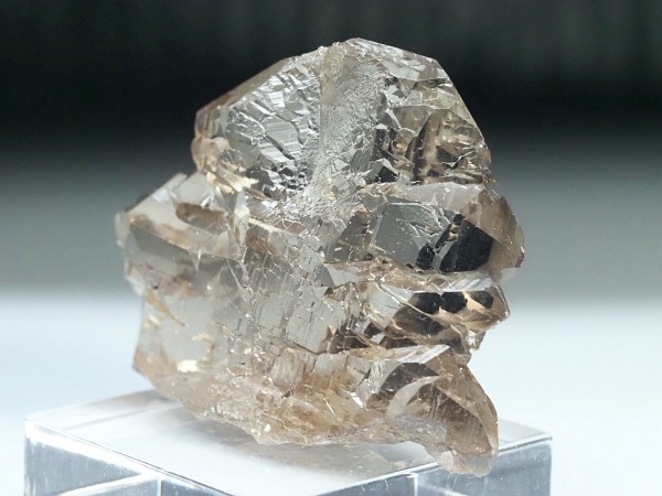 �O�C���f���N�H�[�c �X�C�X�E�A���v�X���� 47g (28-1)