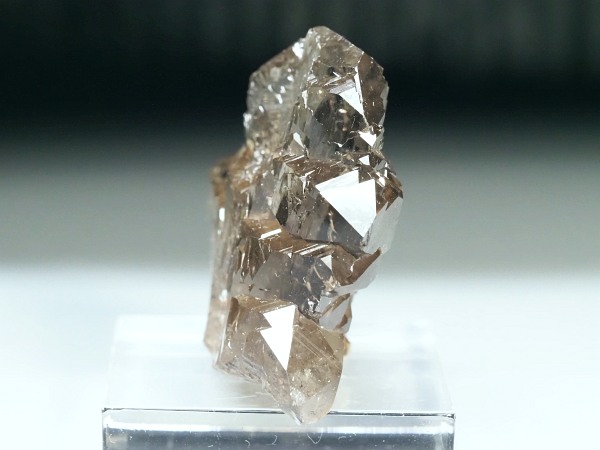 �O�C���f���N�H�[�c �X�C�X�E�A���v�X���� 47g (28-1)