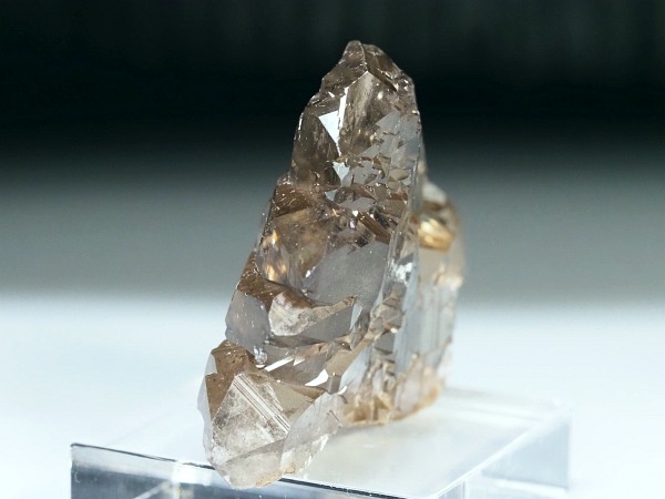 �O�C���f���N�H�[�c �X�C�X�E�A���v�X���� 47g (28-1)