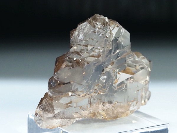 �O�C���f���N�H�[�c �X�C�X�E�A���v�X���� 47g (28-1)