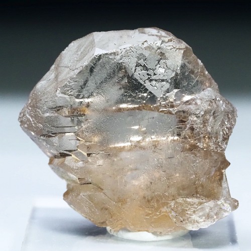 �O�C���f���N�H�[�c �X�C�X�E�A���v�X���� 13g (33-43)