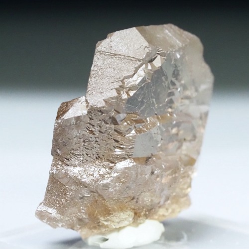 �O�C���f���N�H�[�c �X�C�X�E�A���v�X���� 13g (33-43)