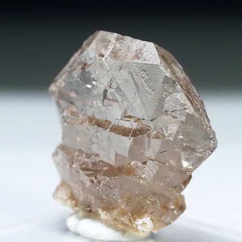 �O�C���f���N�H�[�c �X�C�X�E�A���v�X���� 13g (33-43)