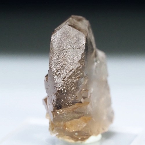 �O�C���f���N�H�[�c �X�C�X�E�A���v�X���� 13g (33-43)