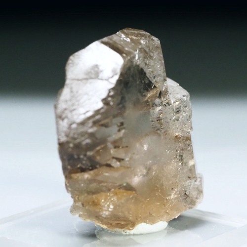 �O�C���f���N�H�[�c �X�C�X�E�A���v�X���� 13g (33-43)