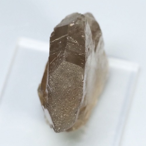 �O�C���f���N�H�[�c �X�C�X�E�A���v�X���� 13g (33-43)