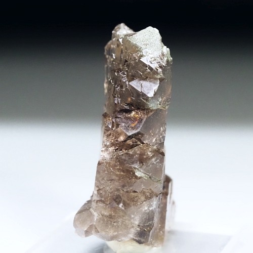 �O�C���f���N�H�[�c �X�C�X�E�A���v�X���� 17.5g (35-72)