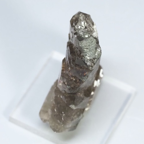 �O�C���f���N�H�[�c �X�C�X�E�A���v�X���� 17.5g (35-72)