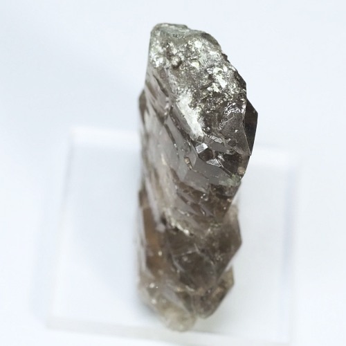 �O�C���f���N�H�[�c �X�C�X�E�A���v�X���� 17.5g (35-72)