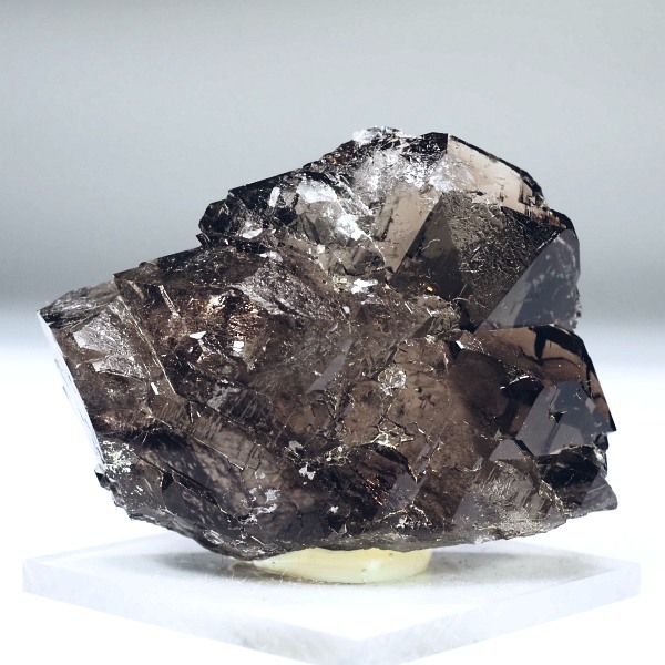 �O�C���f���N�H�[�c �X�C�X�E�A���v�X���� 51.4g (36-64)