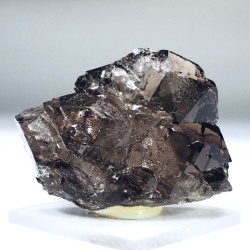 グインデルクォーツ<br> スイス・アルプス水晶<br> 51.4g (36-64)