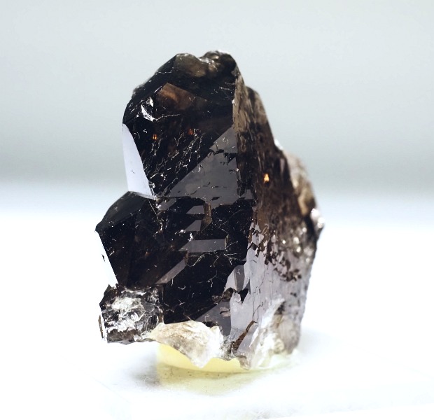 �O�C���f���N�H�[�c �X�C�X�E�A���v�X���� 51.4g (36-64)