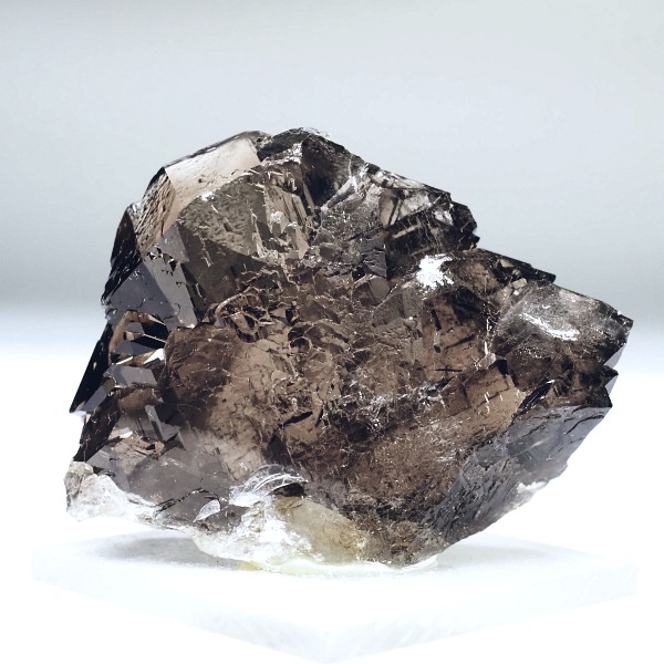 �O�C���f���N�H�[�c �X�C�X�E�A���v�X���� 51.4g (36-64)