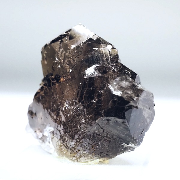 �O�C���f���N�H�[�c �X�C�X�E�A���v�X���� 51.4g (36-64)