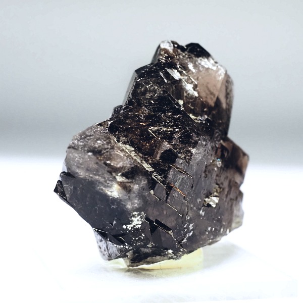 �O�C���f���N�H�[�c �X�C�X�E�A���v�X���� 51.4g (36-64)