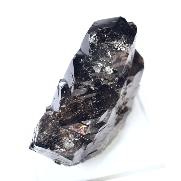 �O�C���f���N�H�[�c �X�C�X�E�A���v�X���� 51.4g (36-64)