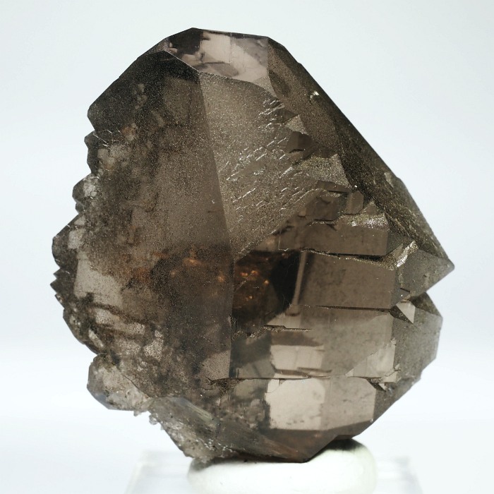 �O�C���f���N�H�[�c �X�C�X�E�A���v�X���� 77g (21-2)