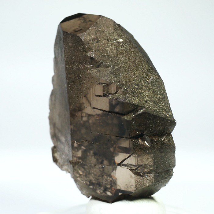 �O�C���f���N�H�[�c �X�C�X�E�A���v�X���� 77g (21-2)