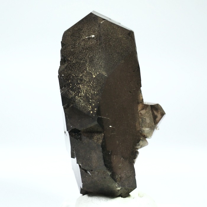 �O�C���f���N�H�[�c �X�C�X�E�A���v�X���� 77g (21-2)