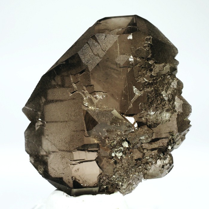 �O�C���f���N�H�[�c �X�C�X�E�A���v�X���� 77g (21-2)