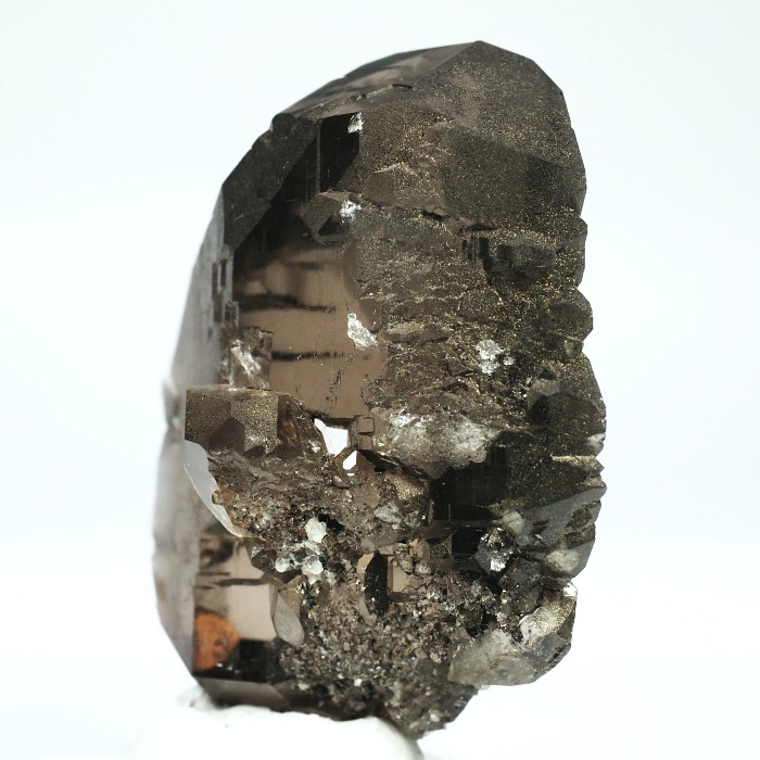 �O�C���f���N�H�[�c �X�C�X�E�A���v�X���� 77g (21-2)