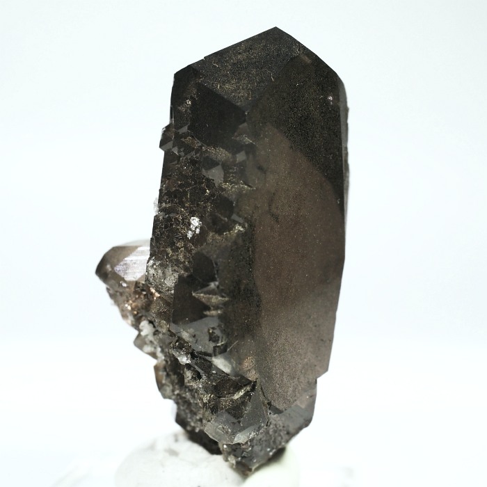 �O�C���f���N�H�[�c �X�C�X�E�A���v�X���� 77g (21-2)