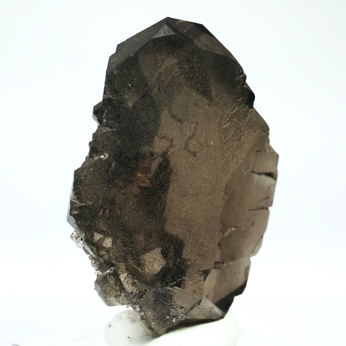 �O�C���f���N�H�[�c �X�C�X�E�A���v�X���� 77g (21-2)