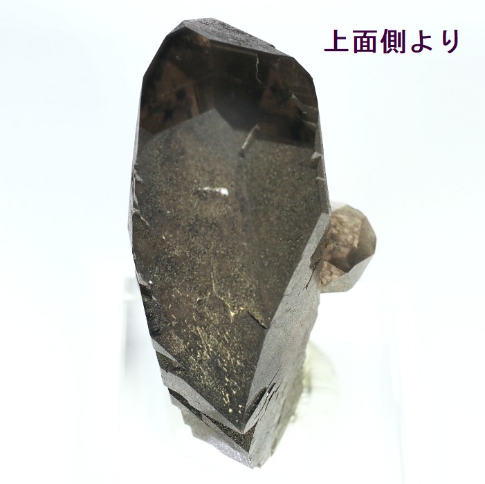 �O�C���f���N�H�[�c �X�C�X�E�A���v�X���� 77g (21-2)