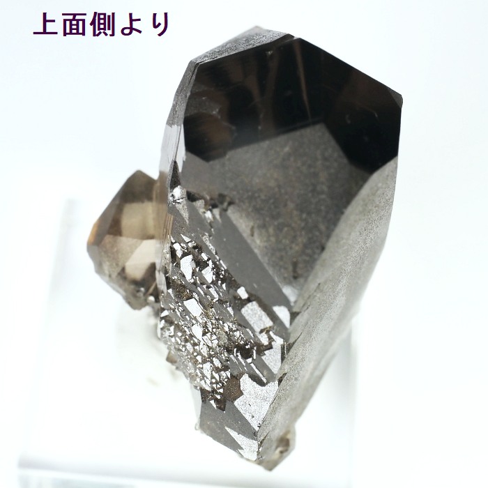 �O�C���f���N�H�[�c �X�C�X�E�A���v�X���� 77g (21-2)