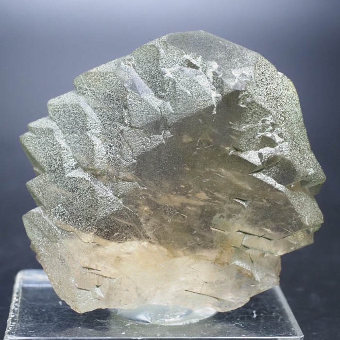 �O�C���f���N�H�[�c �X�C�X�E�A���v�X���� 72g (24-5)