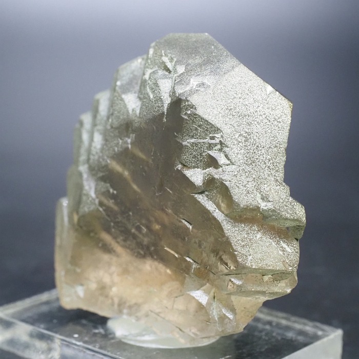 �O�C���f���N�H�[�c �X�C�X�E�A���v�X���� 72g (24-5)