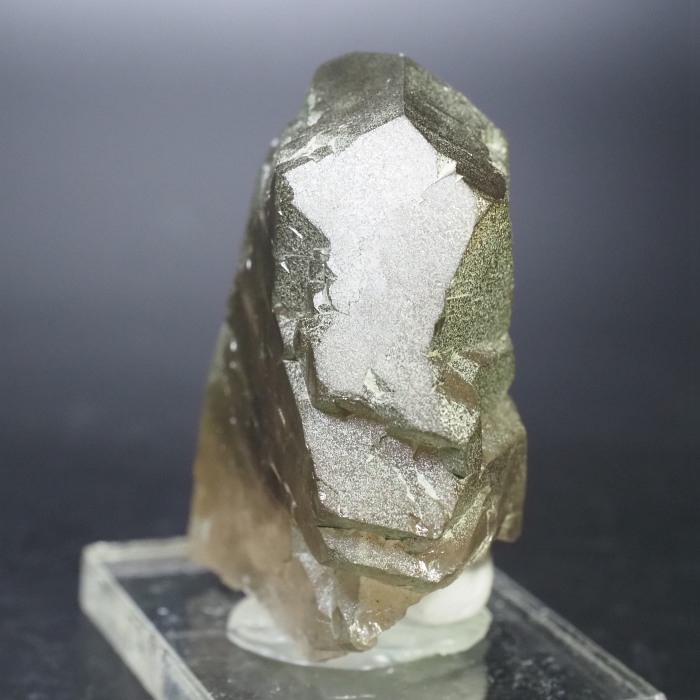 �O�C���f���N�H�[�c �X�C�X�E�A���v�X���� 72g (24-5)