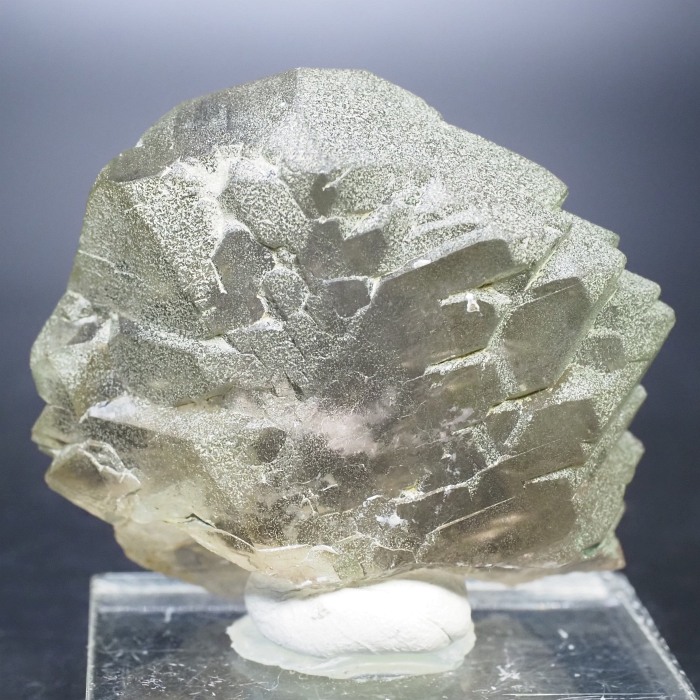 �O�C���f���N�H�[�c �X�C�X�E�A���v�X���� 72g (24-5)