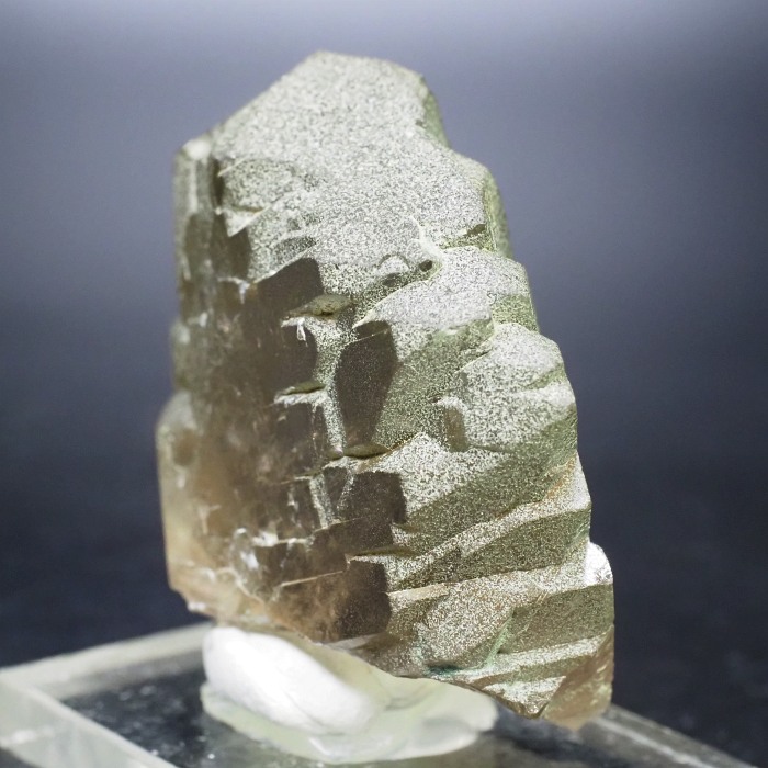 �O�C���f���N�H�[�c �X�C�X�E�A���v�X���� 72g (24-5)