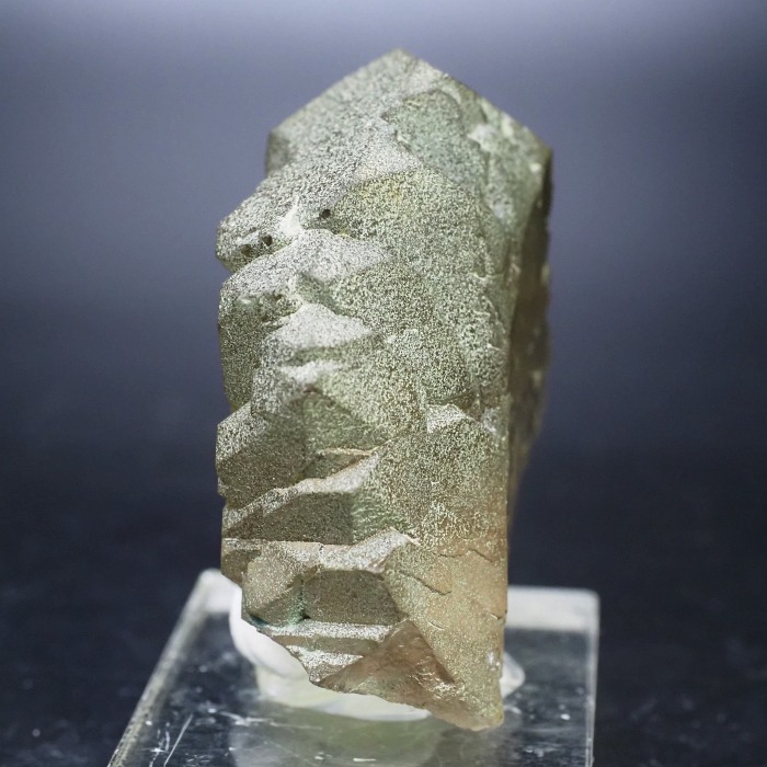 �O�C���f���N�H�[�c �X�C�X�E�A���v�X���� 72g (24-5)