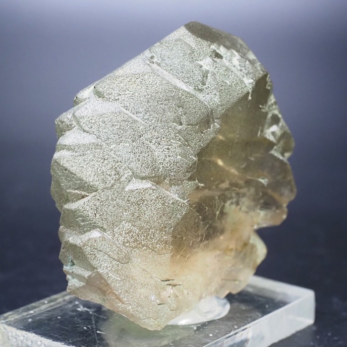 �O�C���f���N�H�[�c �X�C�X�E�A���v�X���� 72g (24-5)