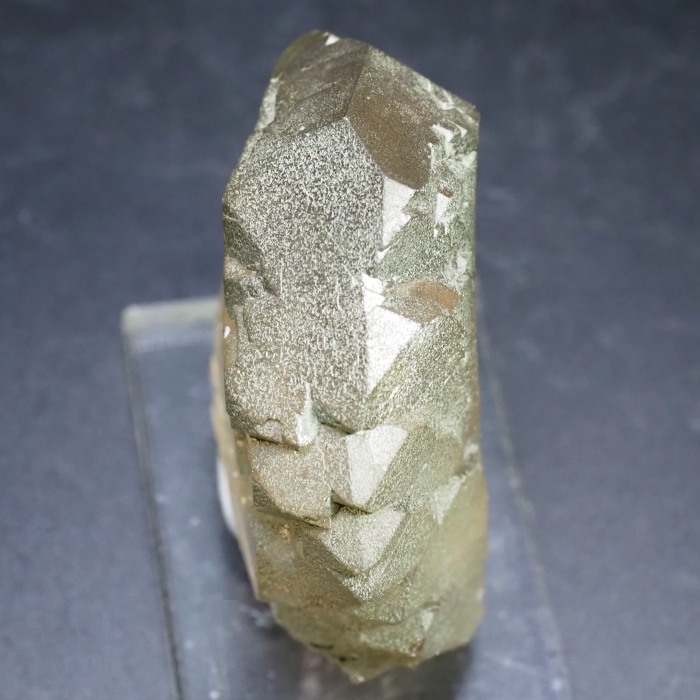 �O�C���f���N�H�[�c �X�C�X�E�A���v�X���� 72g (24-5)