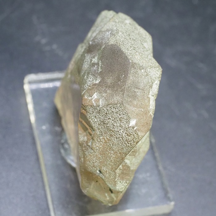 �O�C���f���N�H�[�c �X�C�X�E�A���v�X���� 72g (24-5)