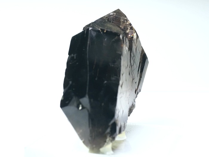 �O�C���f���N�H�[�c �X�C�X�E�A���v�X���� 178g (6-8)