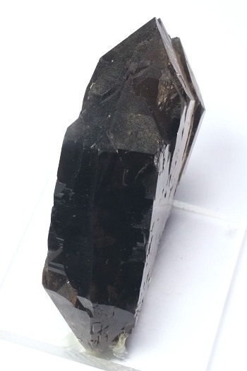 �O�C���f���N�H�[�c �X�C�X�E�A���v�X���� 178g (6-8)