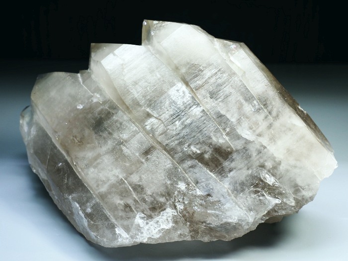 �O�C���f���N�H�[�c �X�C�X�E�A���v�X���� 882g (6-9)