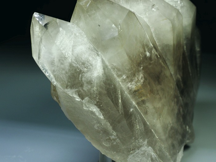 �O�C���f���N�H�[�c �X�C�X�E�A���v�X���� 882g (6-9)