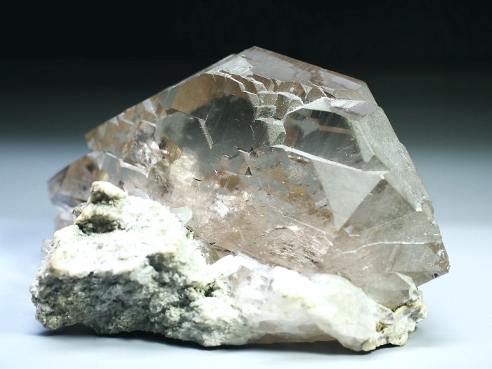 �O�C���f���N�H�[�c �X�C�X�E�A���v�X���� 170g (6-6)