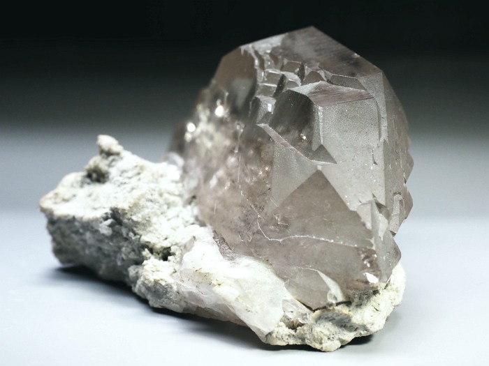 �O�C���f���N�H�[�c �X�C�X�E�A���v�X���� 170g (6-6)